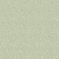 dsSTELLA_DRR2293 JADE